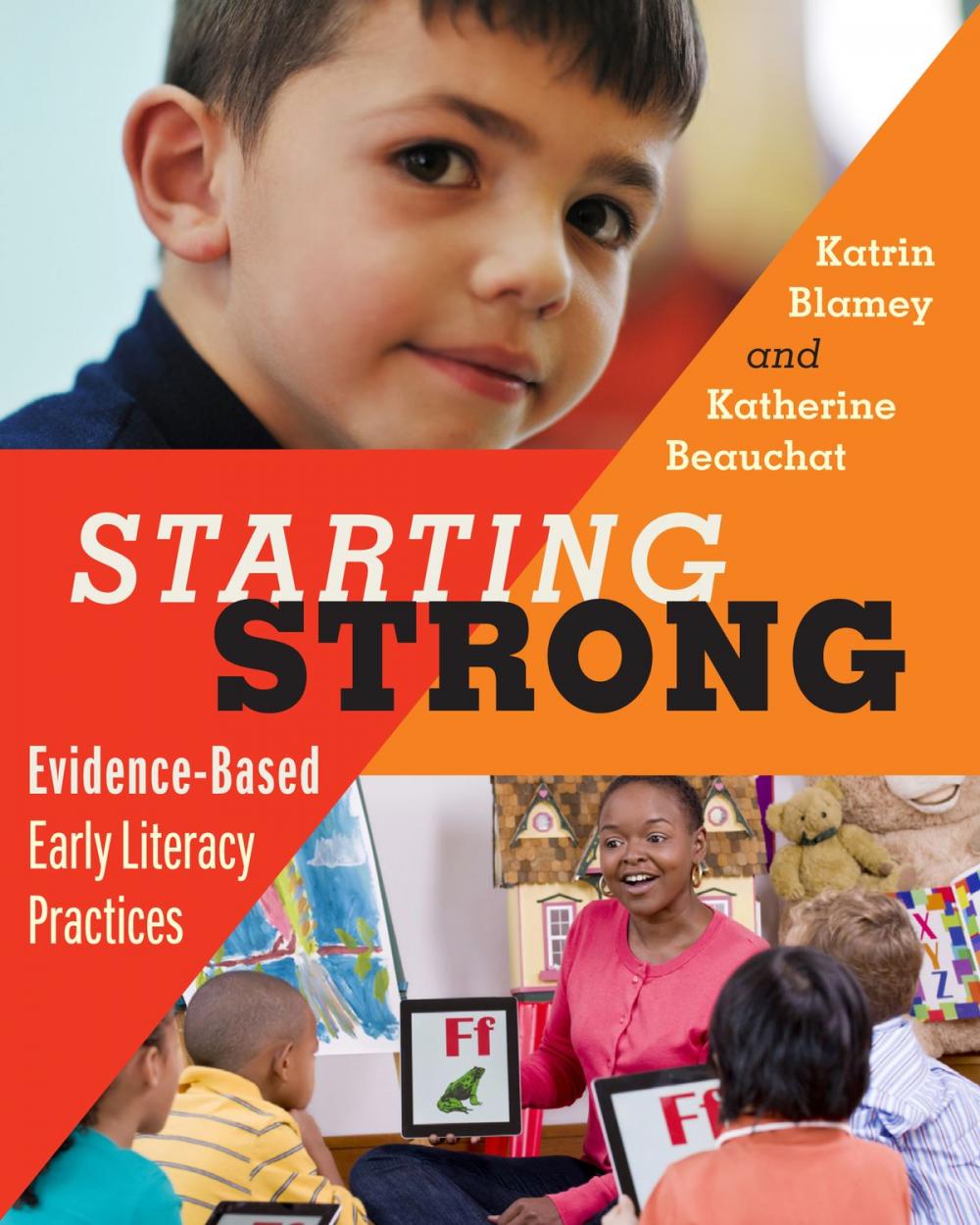 Big bigCover of Becoming a Literacy Leader, 2nd edition