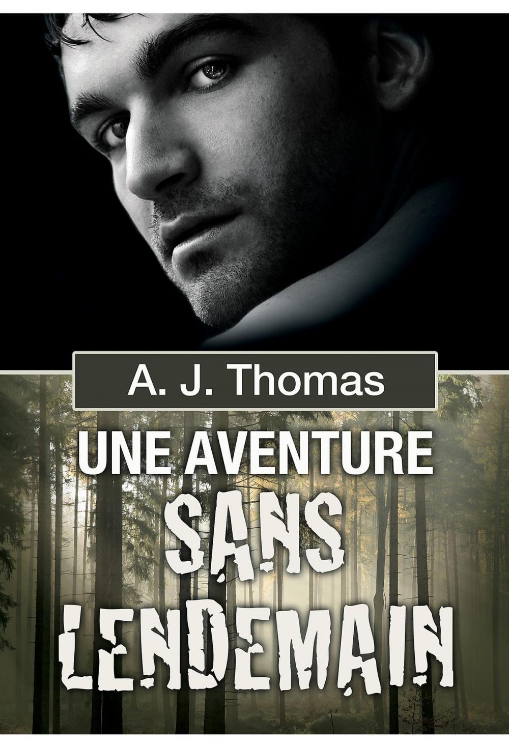 Big bigCover of Une aventure sans lendemain