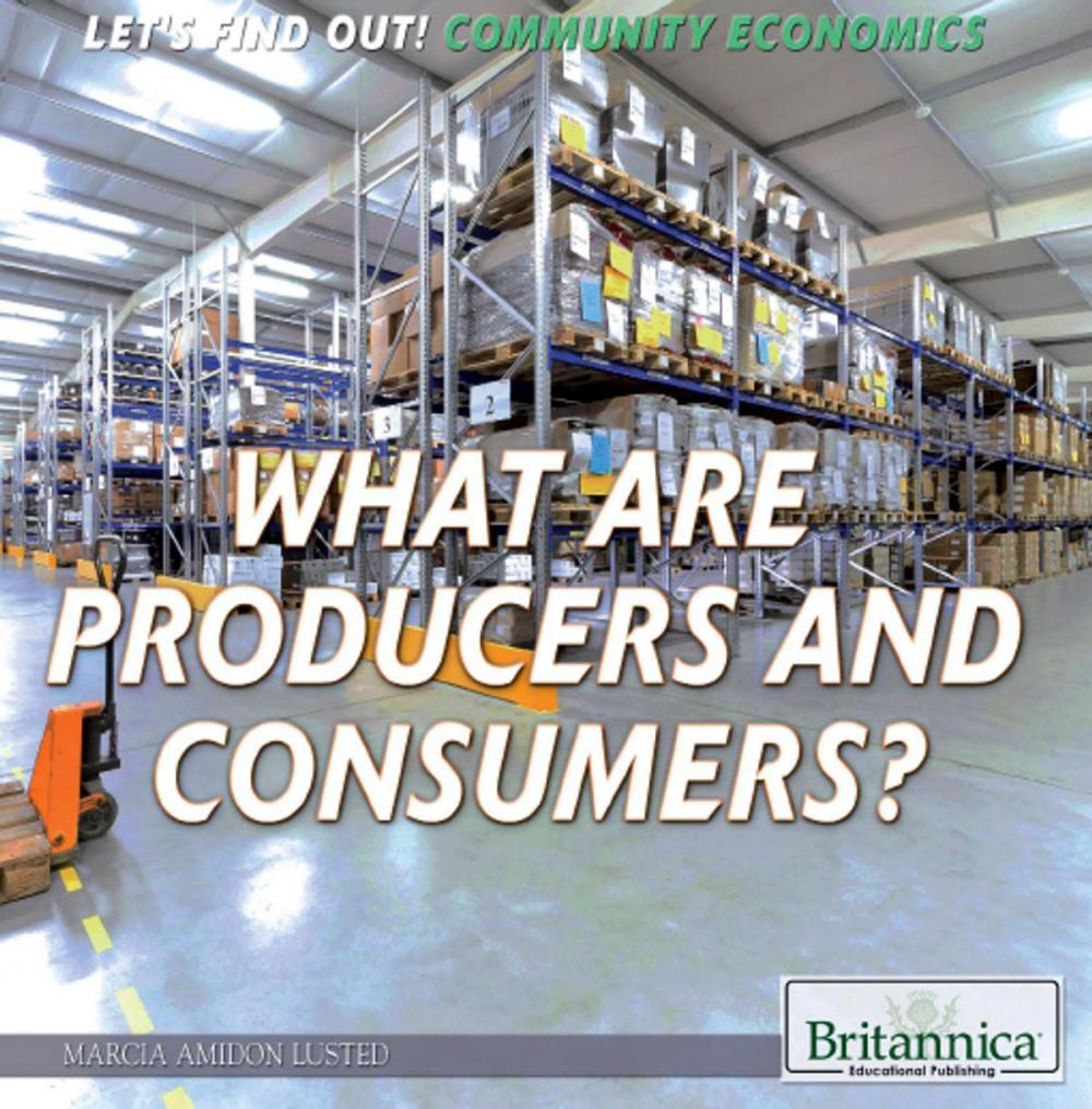 Big bigCover of What Are Producers and Consumers?