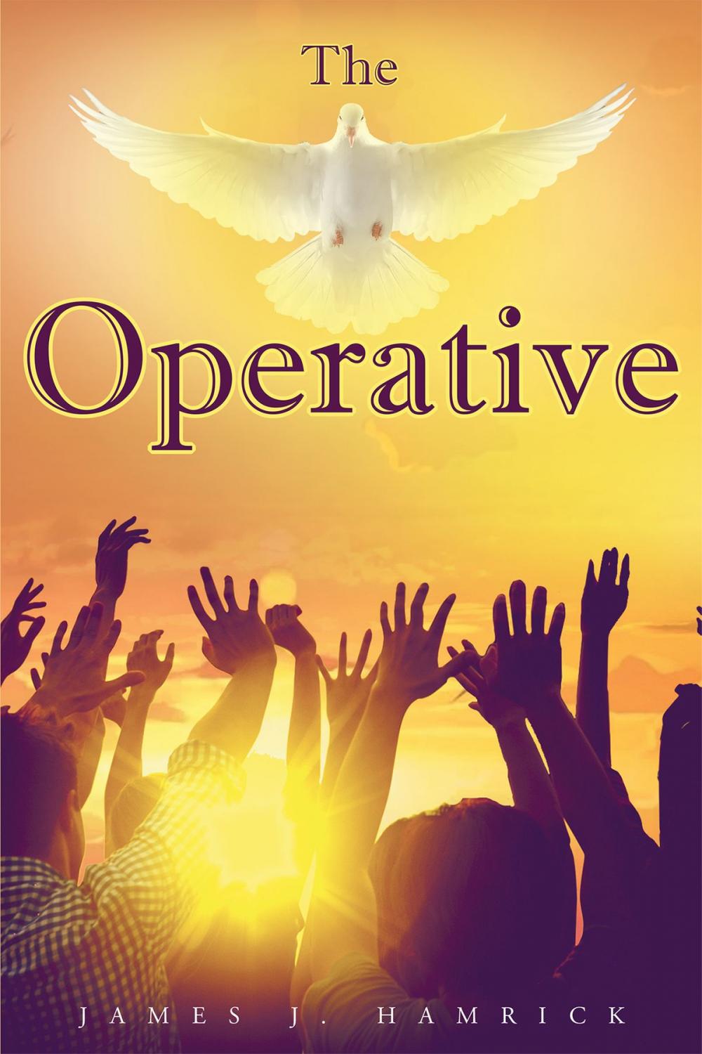 Big bigCover of The Operative