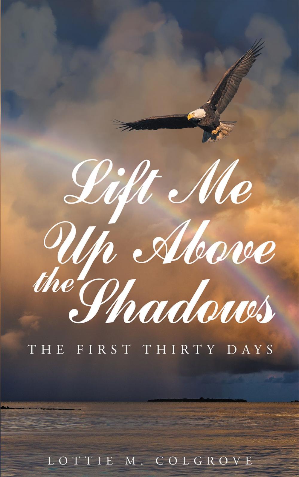 Big bigCover of Lift Me up above the Shadows: The First Thirty Days