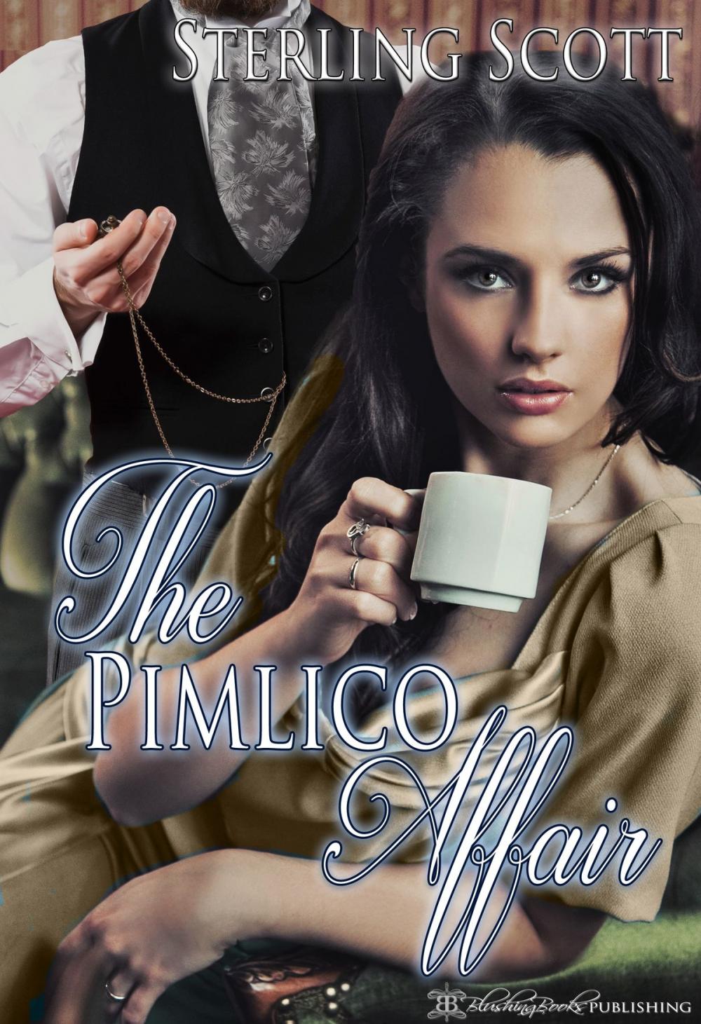 Big bigCover of The Pimlico Affair