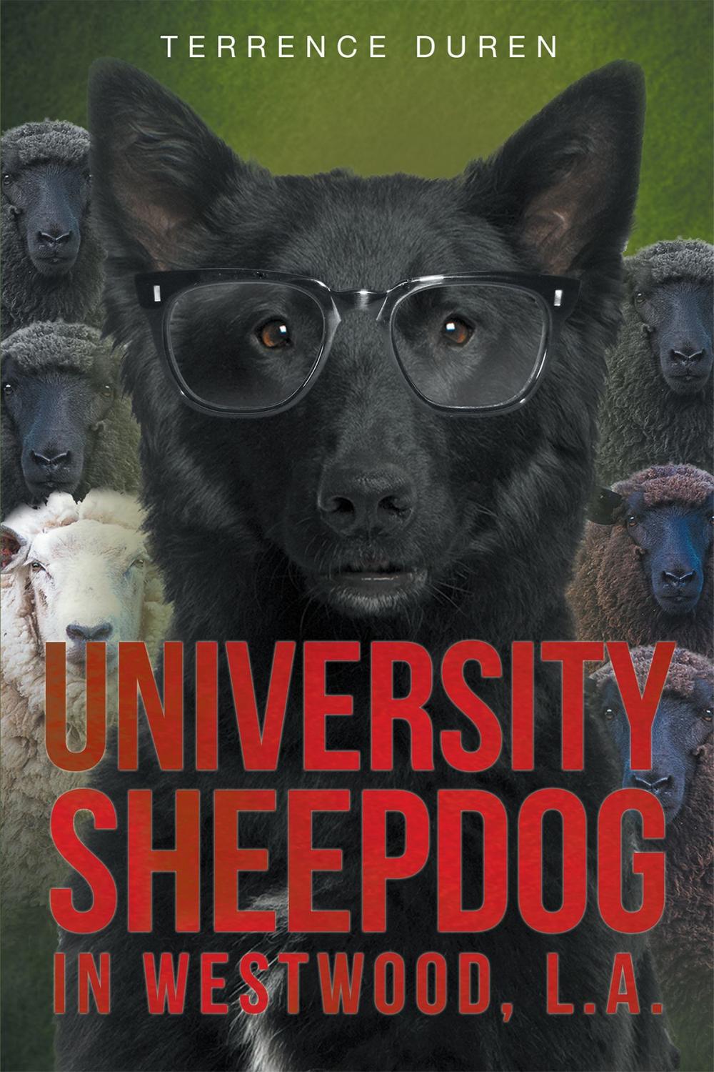 Big bigCover of University Sheepdog in Westwood, L.A.