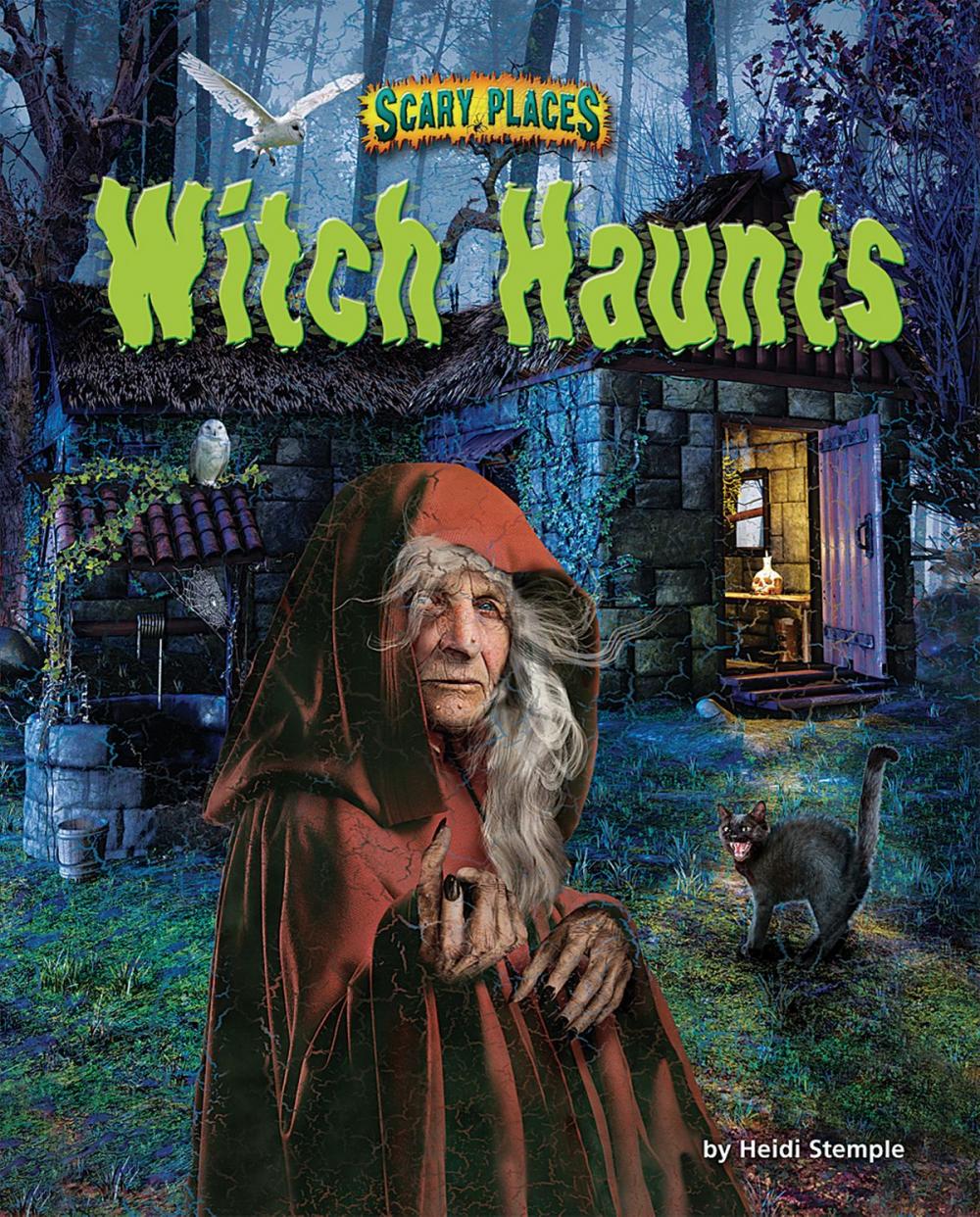 Big bigCover of Witch Haunts