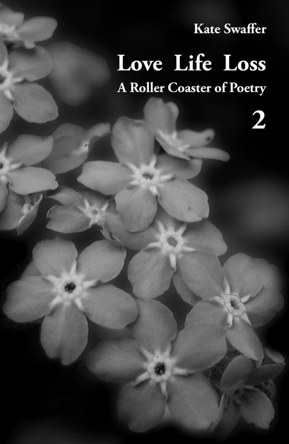 Big bigCover of Love Life Loss - A Roller Coaster of Poetry Volume 2