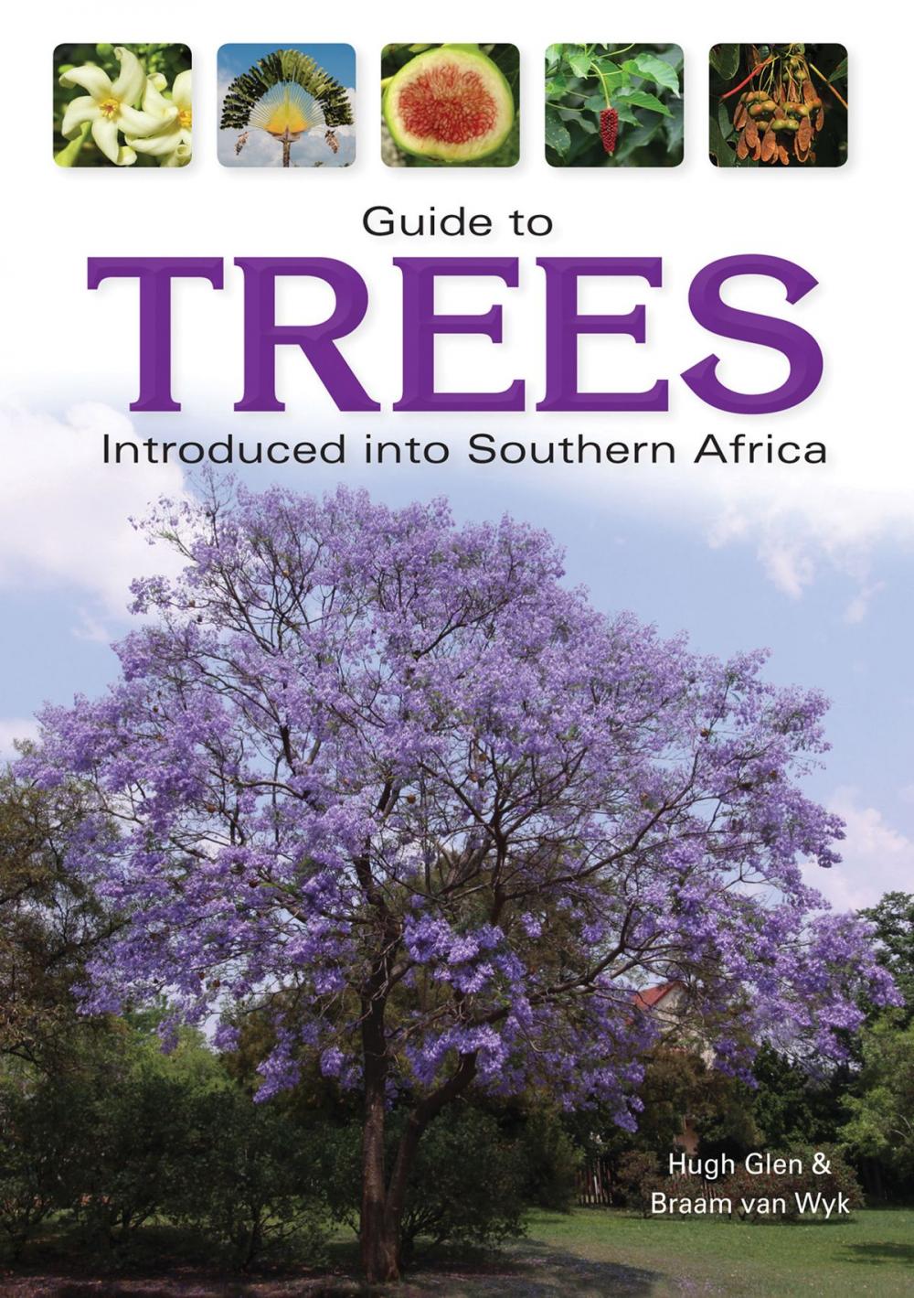 Big bigCover of Guide to Trees Introduced into Southern Africa