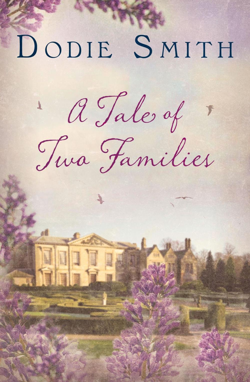 Big bigCover of Tale of Two Families