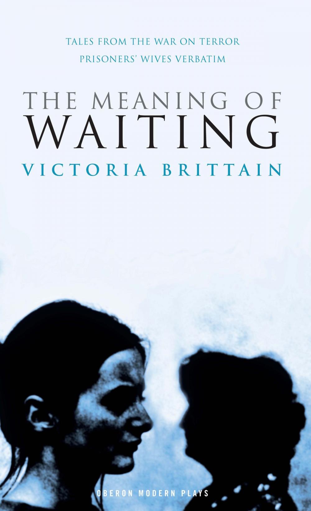 Big bigCover of The Meaning of Waiting