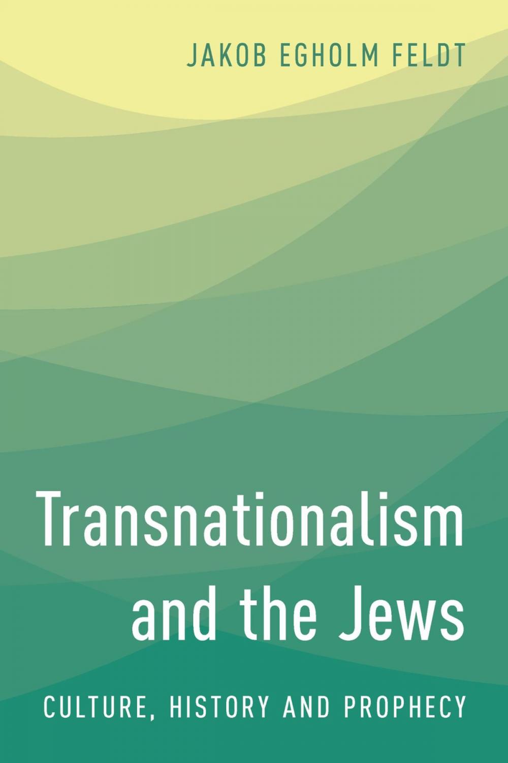 Big bigCover of Transnationalism and the Jews