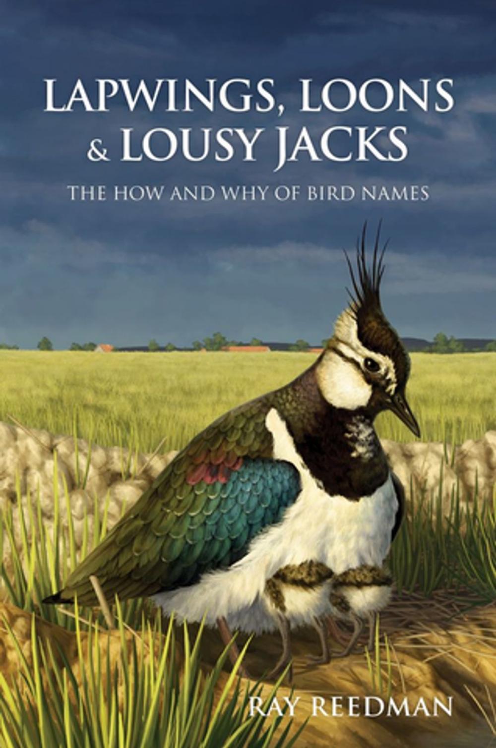 Big bigCover of Lapwings, Loons and Lousy Jacks