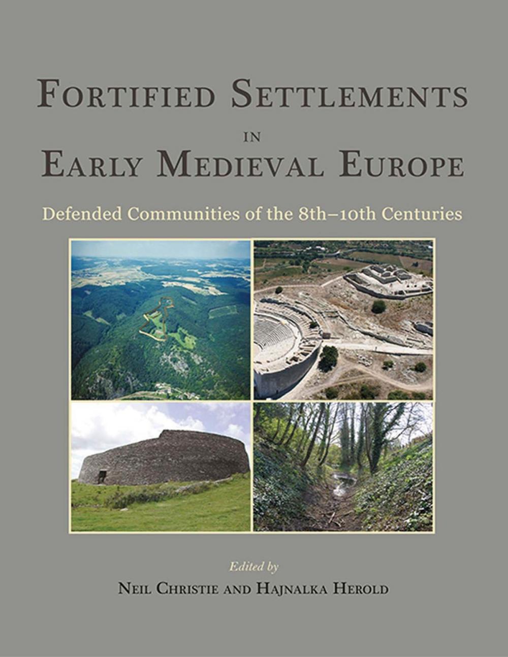 Big bigCover of Fortified Settlements in Early Medieval Europe