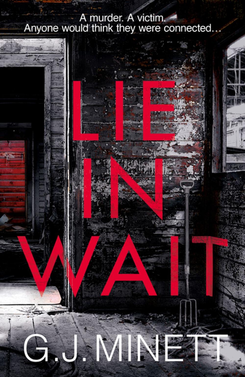 Big bigCover of Lie in Wait