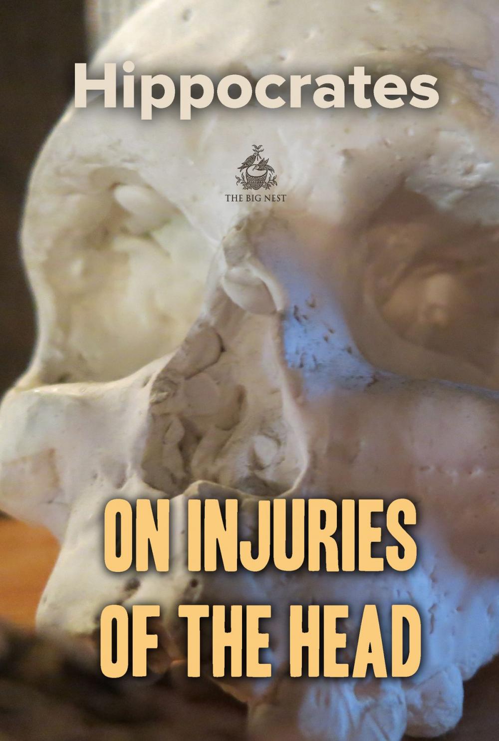 Big bigCover of On Injuries of the Head