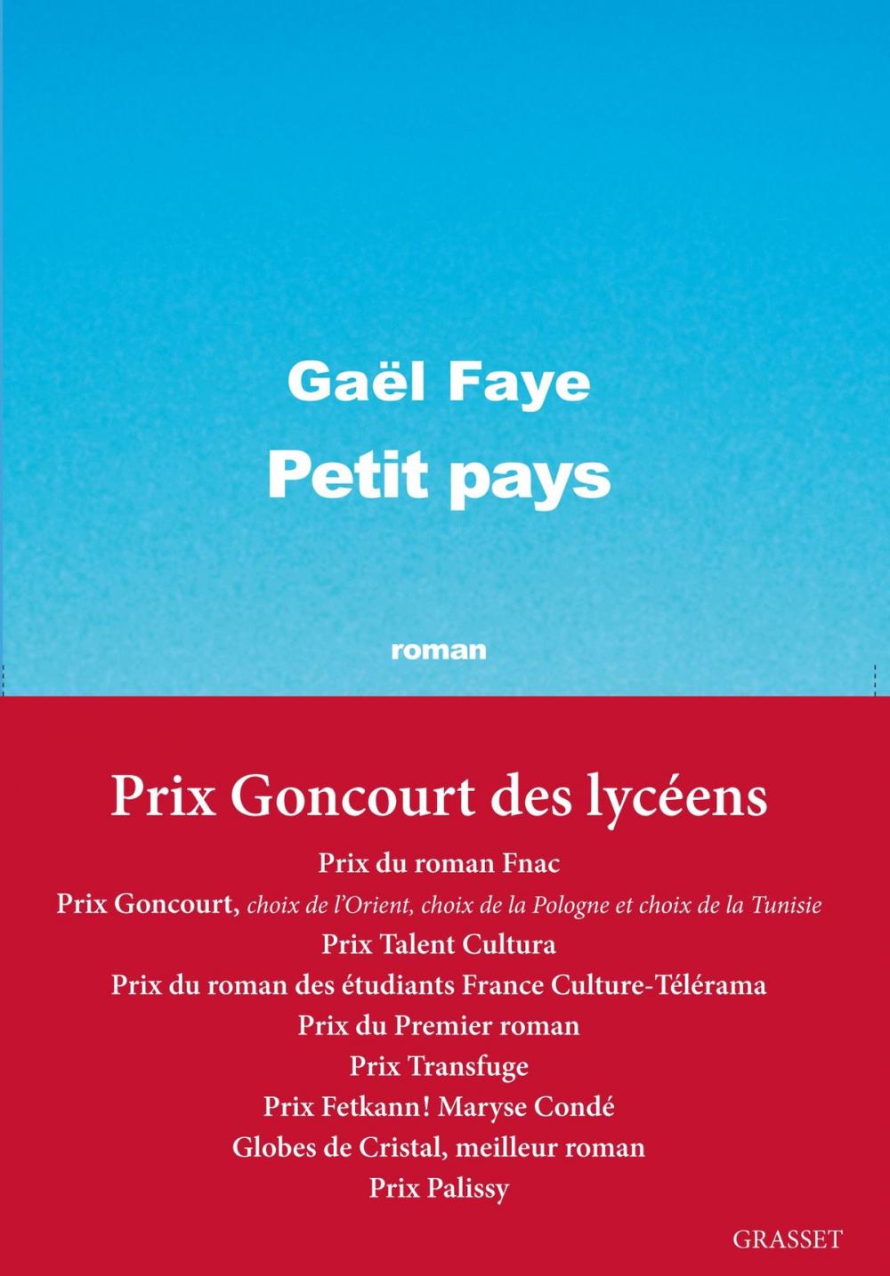 Big bigCover of Petit pays