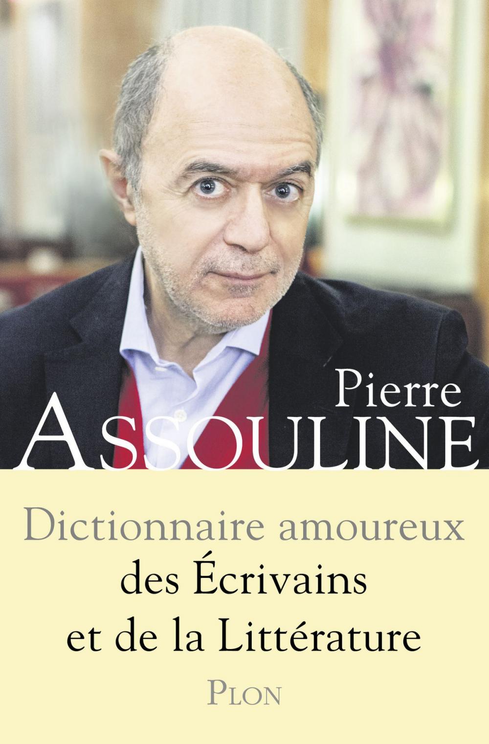 Big bigCover of Dictionnaire amoureux des écrivains et de la littérature