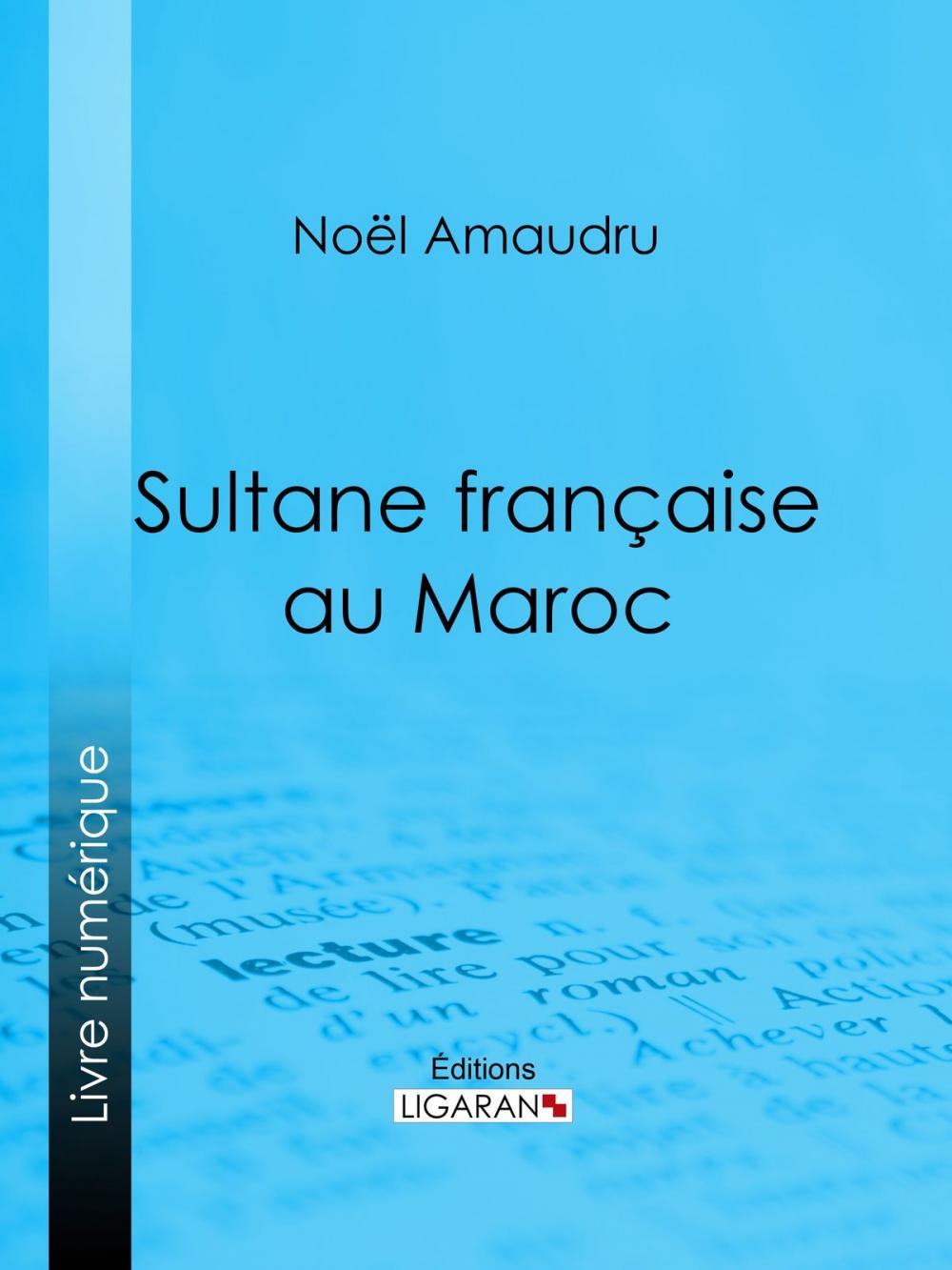 Big bigCover of Sultane française au Maroc