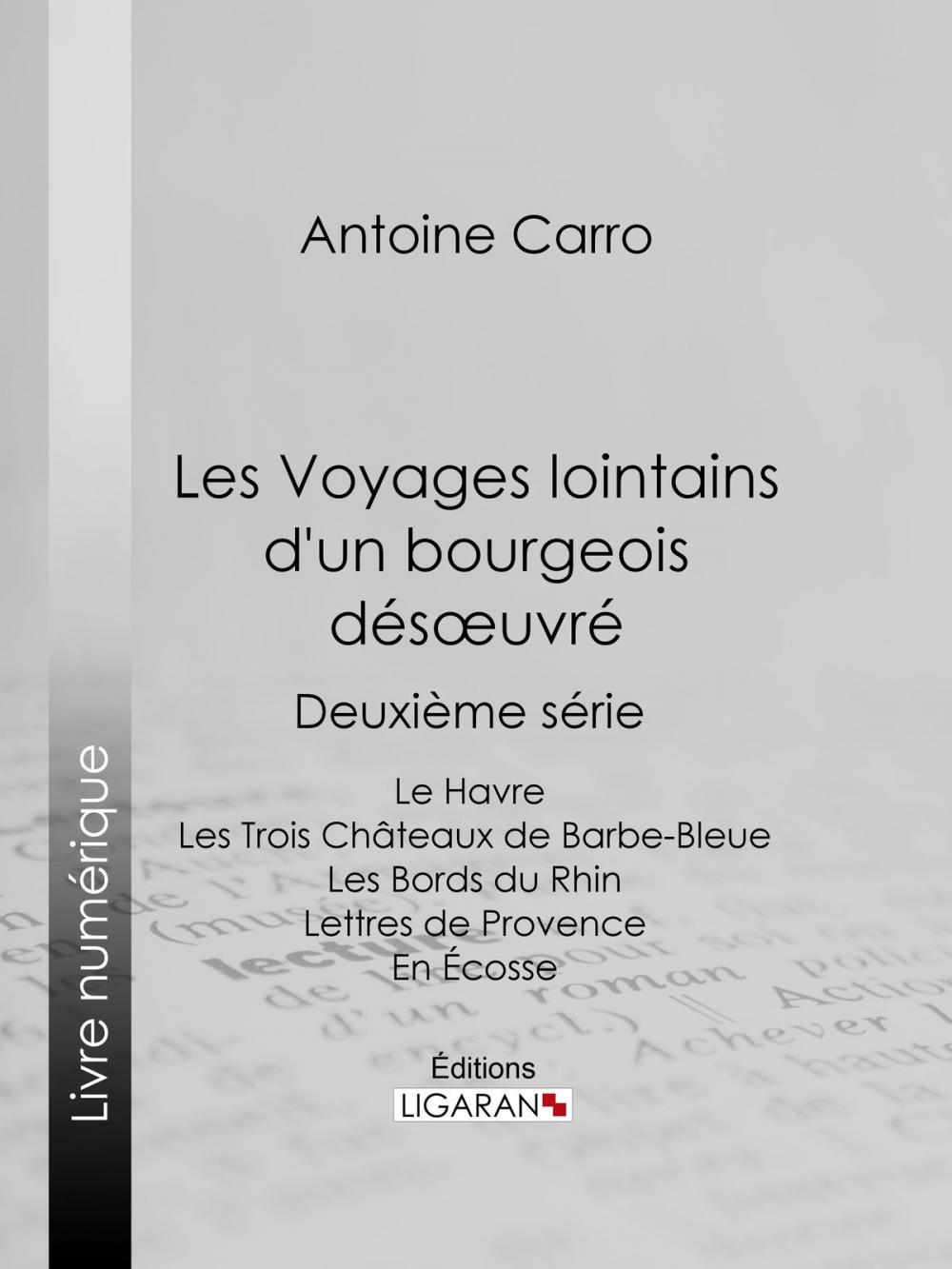 Big bigCover of Les Voyages lointains d'un bourgeois désoeuvré