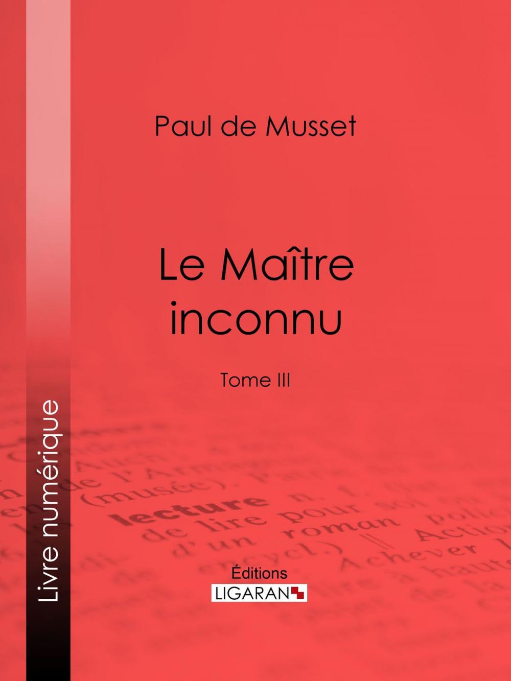 Big bigCover of Le Maître inconnu