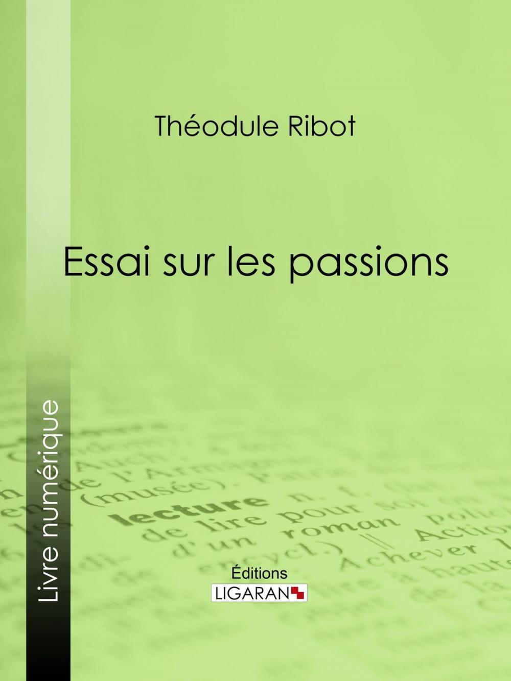 Big bigCover of Essai sur les passions