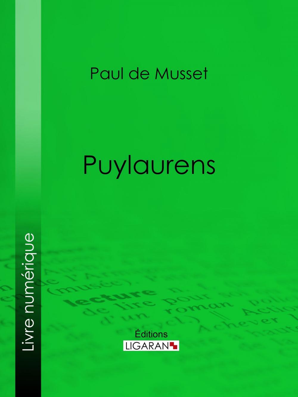 Big bigCover of Puylaurens