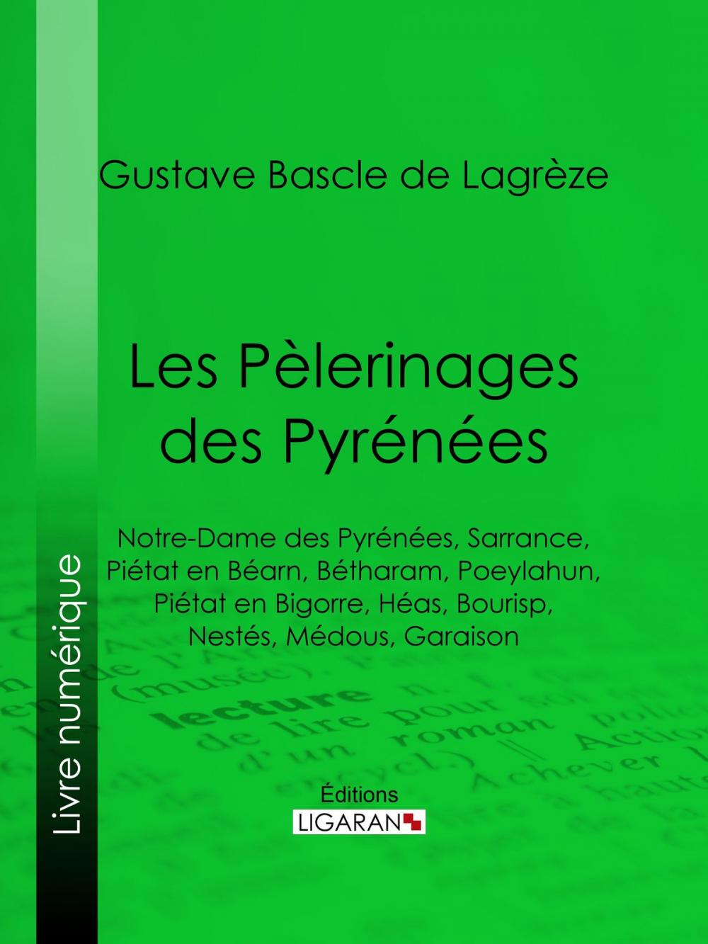 Big bigCover of Les Pèlerinages des Pyrénées