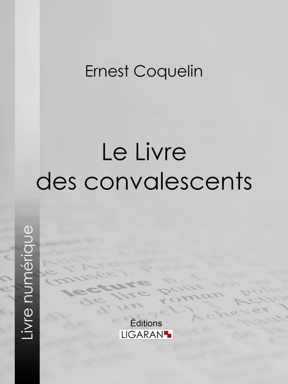 Big bigCover of Le Livre des convalescents