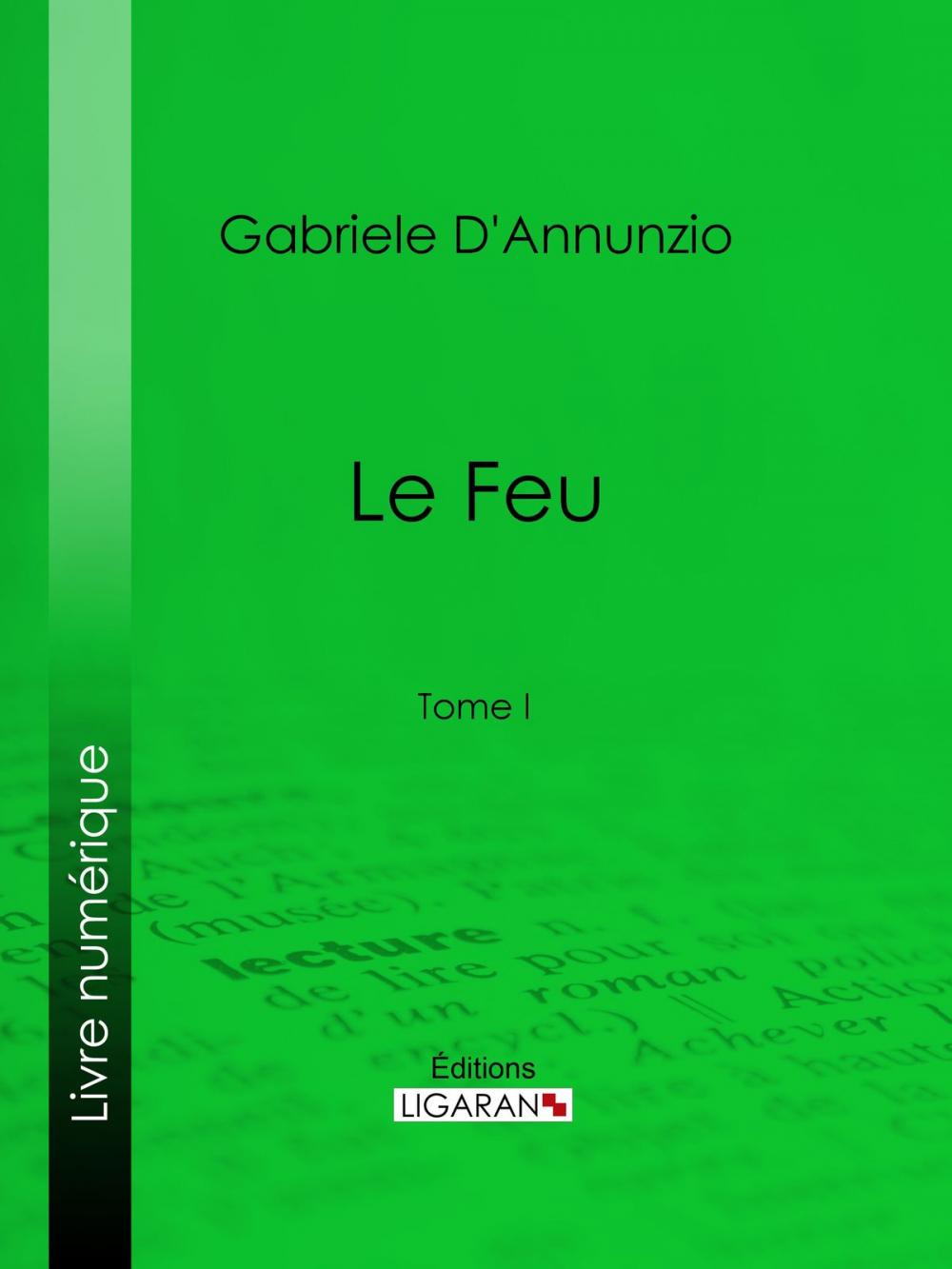 Big bigCover of Le Feu