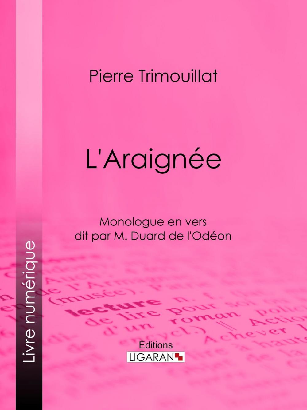 Big bigCover of L'Araignée