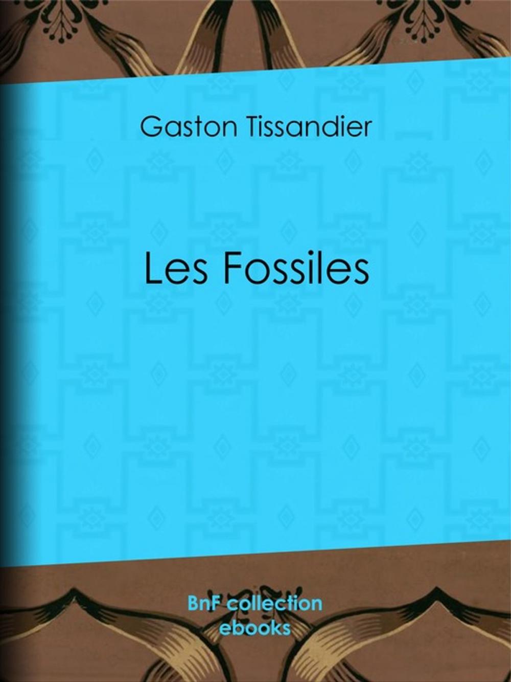 Big bigCover of Les Fossiles