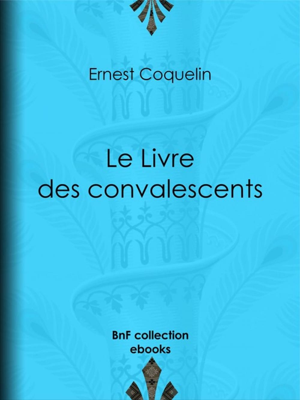 Big bigCover of Le Livre des convalescents