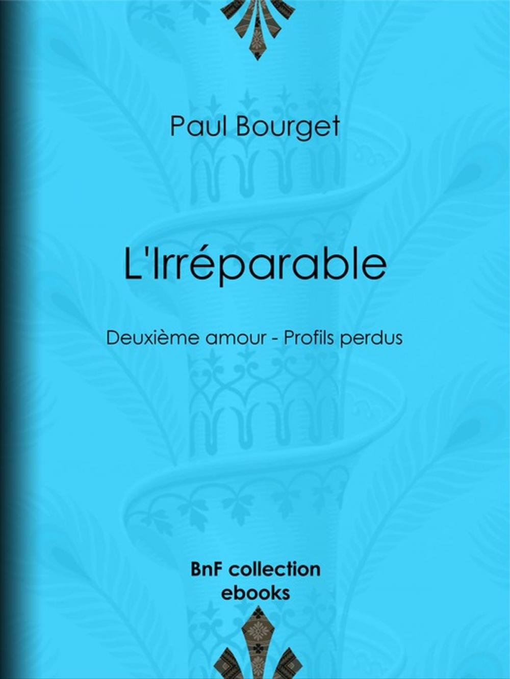 Big bigCover of L'Irréparable