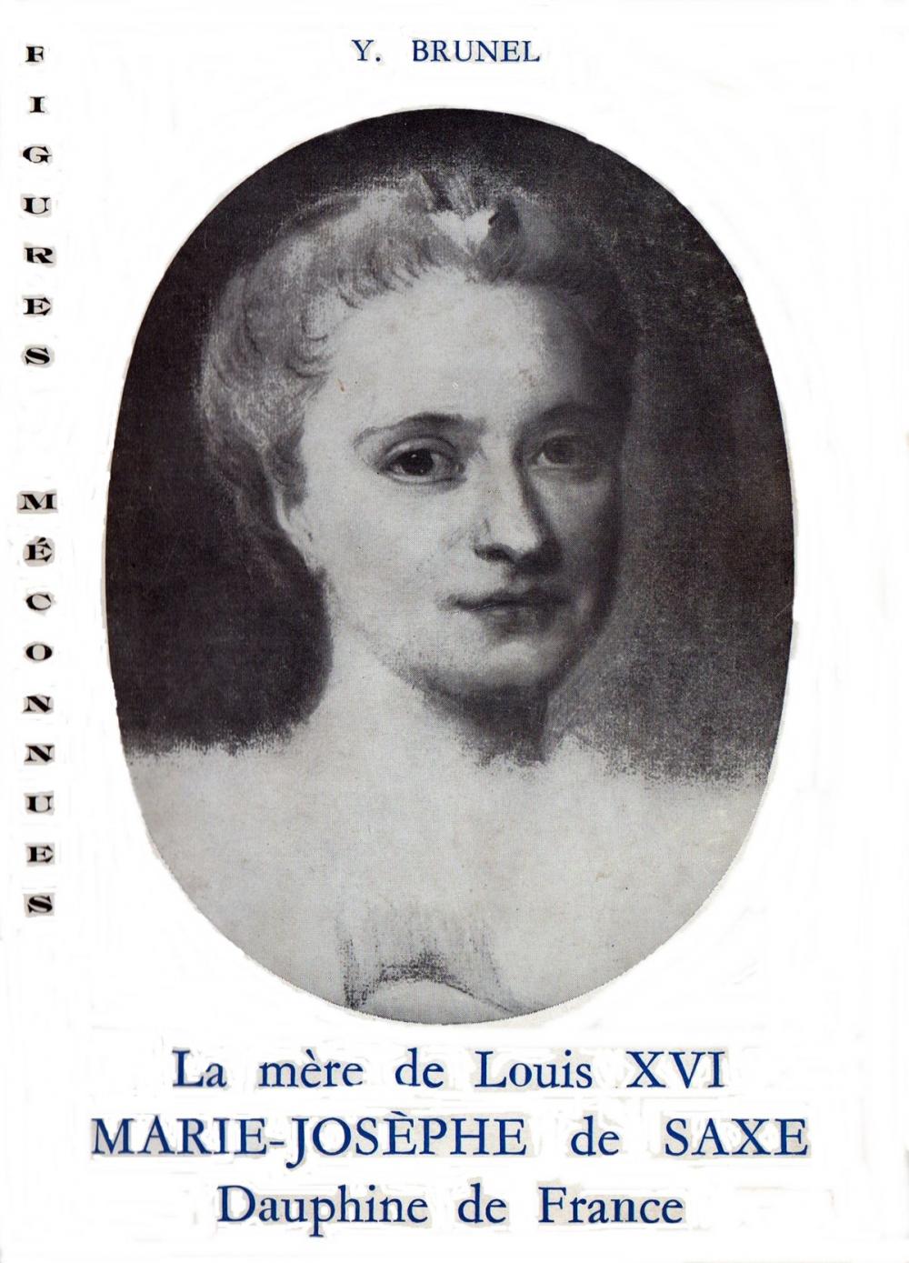 Big bigCover of La Mère de Louis XVI