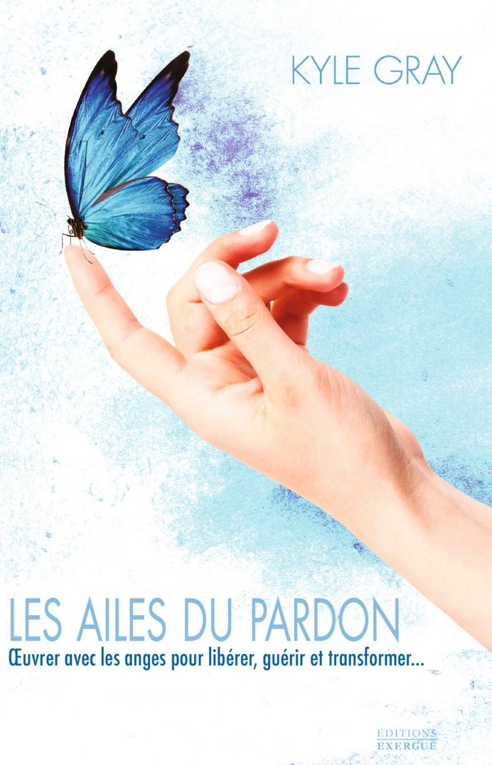 Big bigCover of Les ailes du pardon