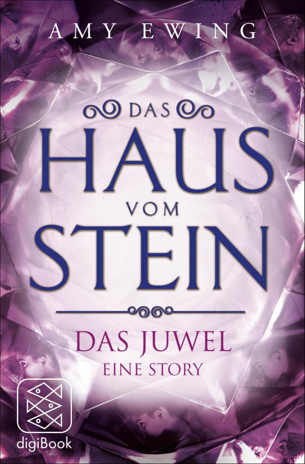 Big bigCover of Das Haus vom Stein