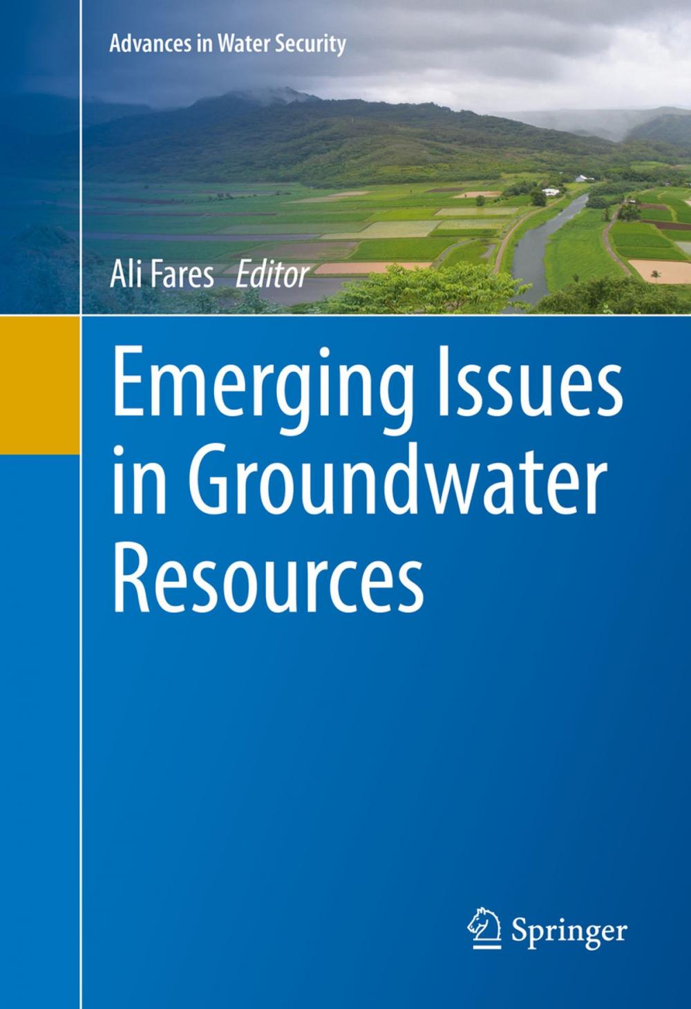 Big bigCover of Emerging Issues in Groundwater Resources