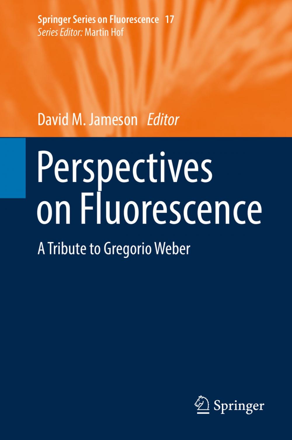 Big bigCover of Perspectives on Fluorescence