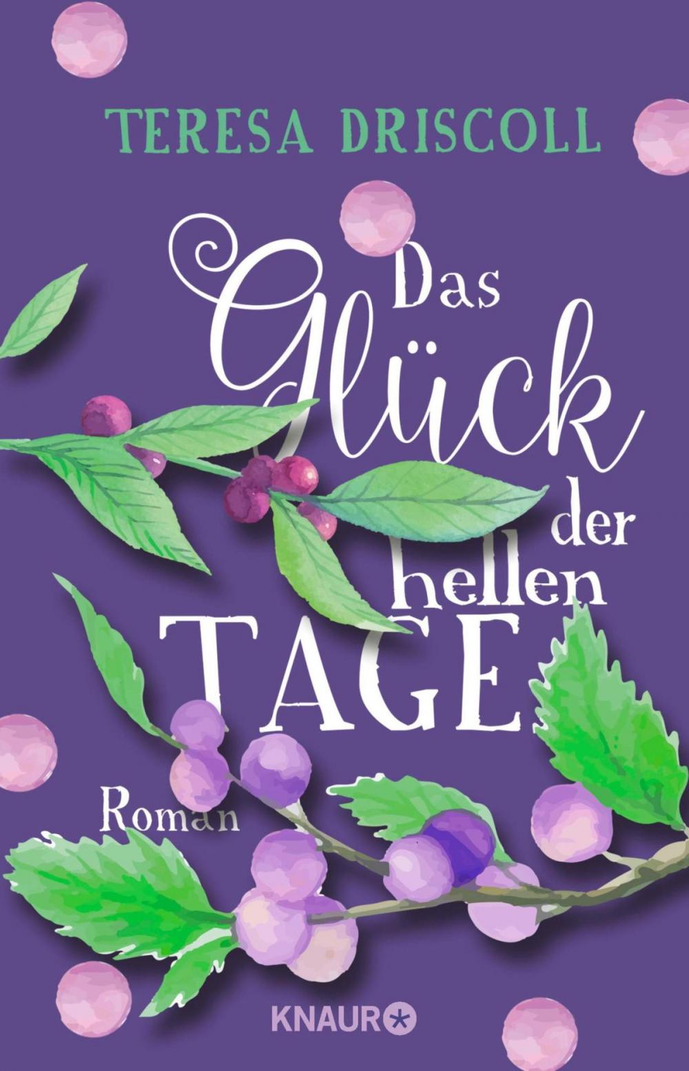 Big bigCover of Das Glück der hellen Tage