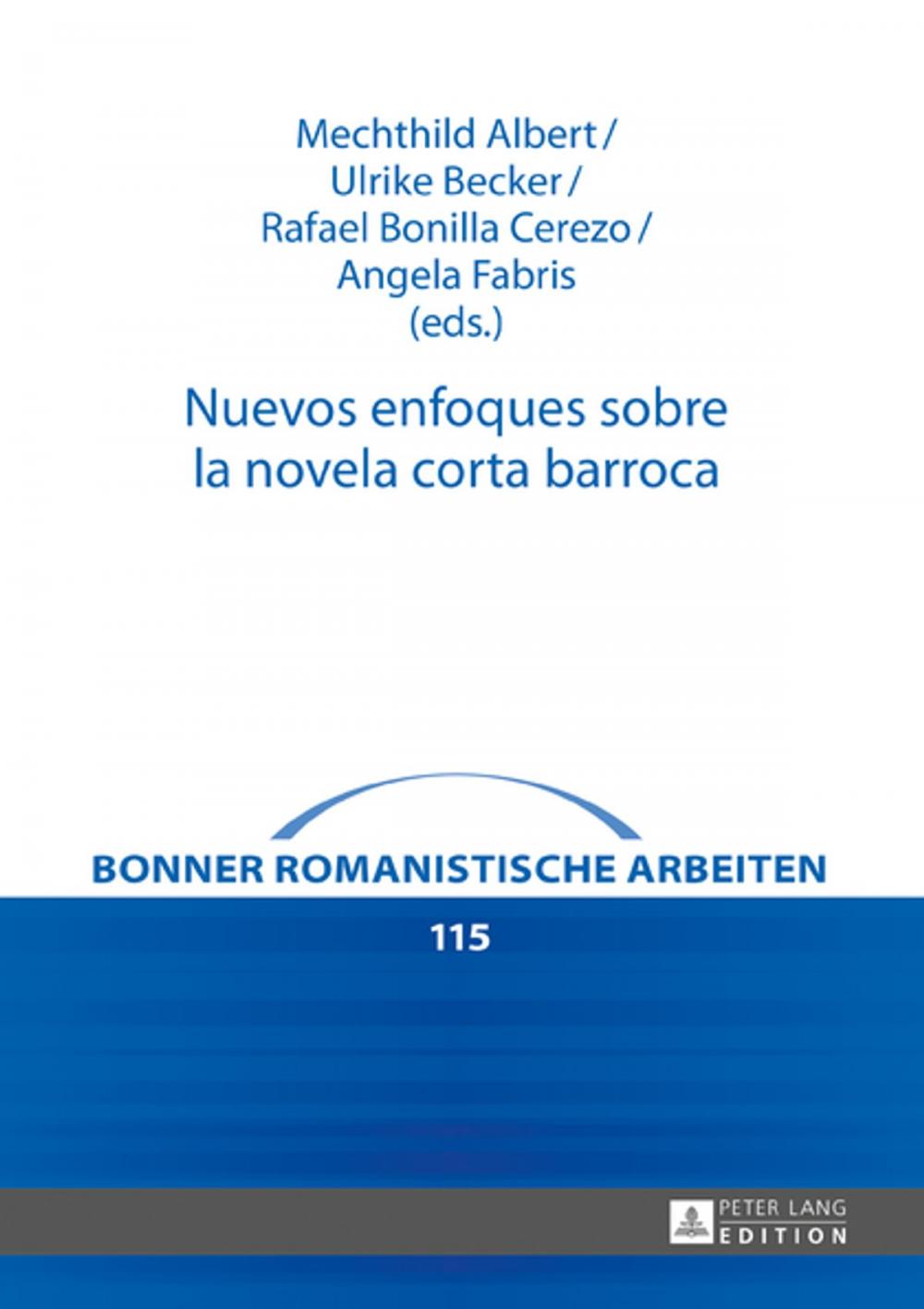 Big bigCover of Nuevos enfoques sobre la novela corta barroca