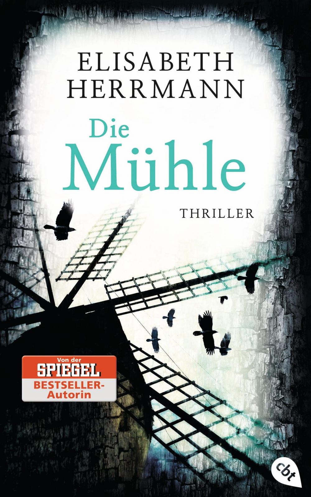 Big bigCover of Die Mühle