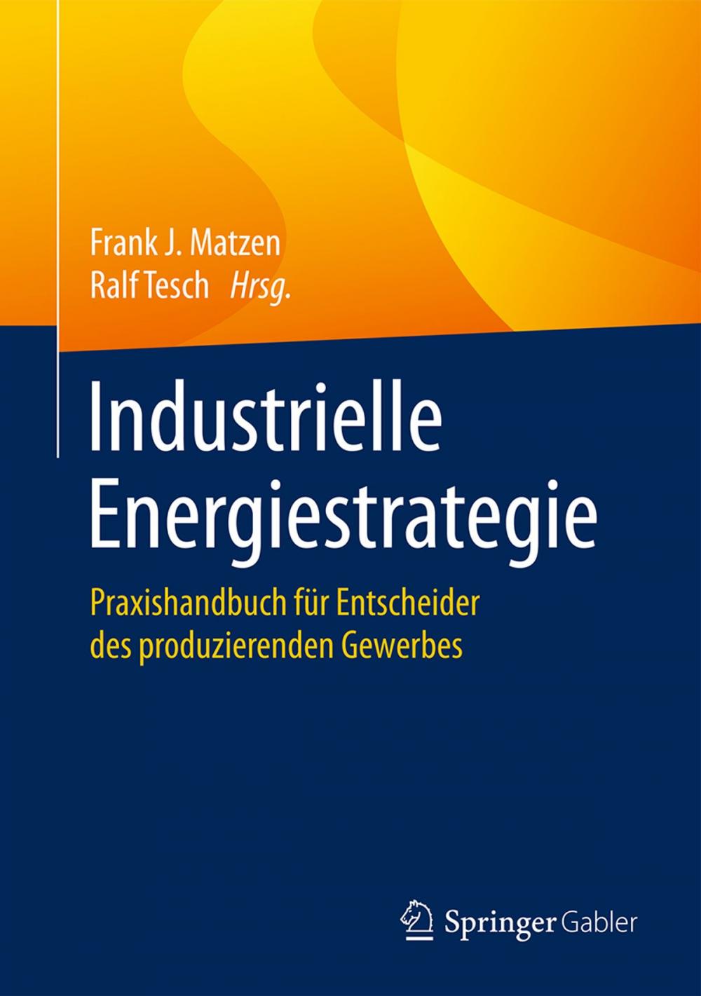 Big bigCover of Industrielle Energiestrategie