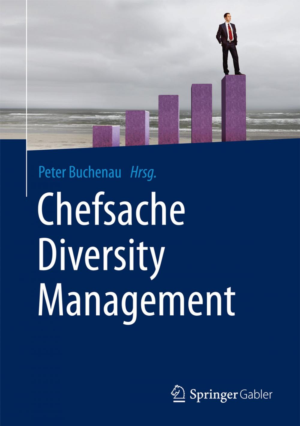 Big bigCover of Chefsache Diversity Management