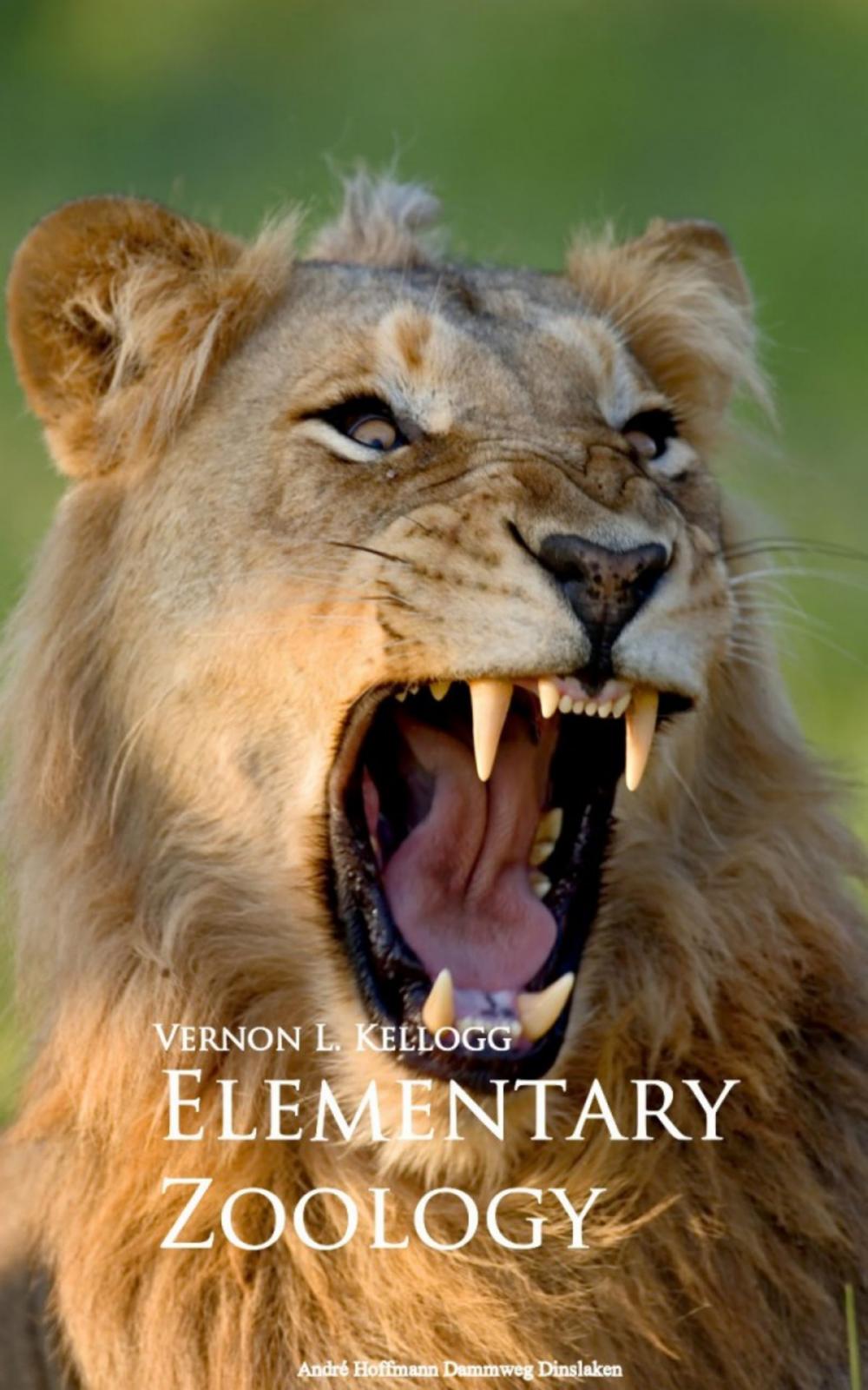 Big bigCover of Elementary Zoology