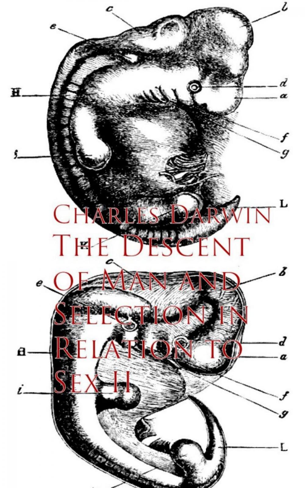 Big bigCover of The Descent of Man and Selection in Relation to Sex II