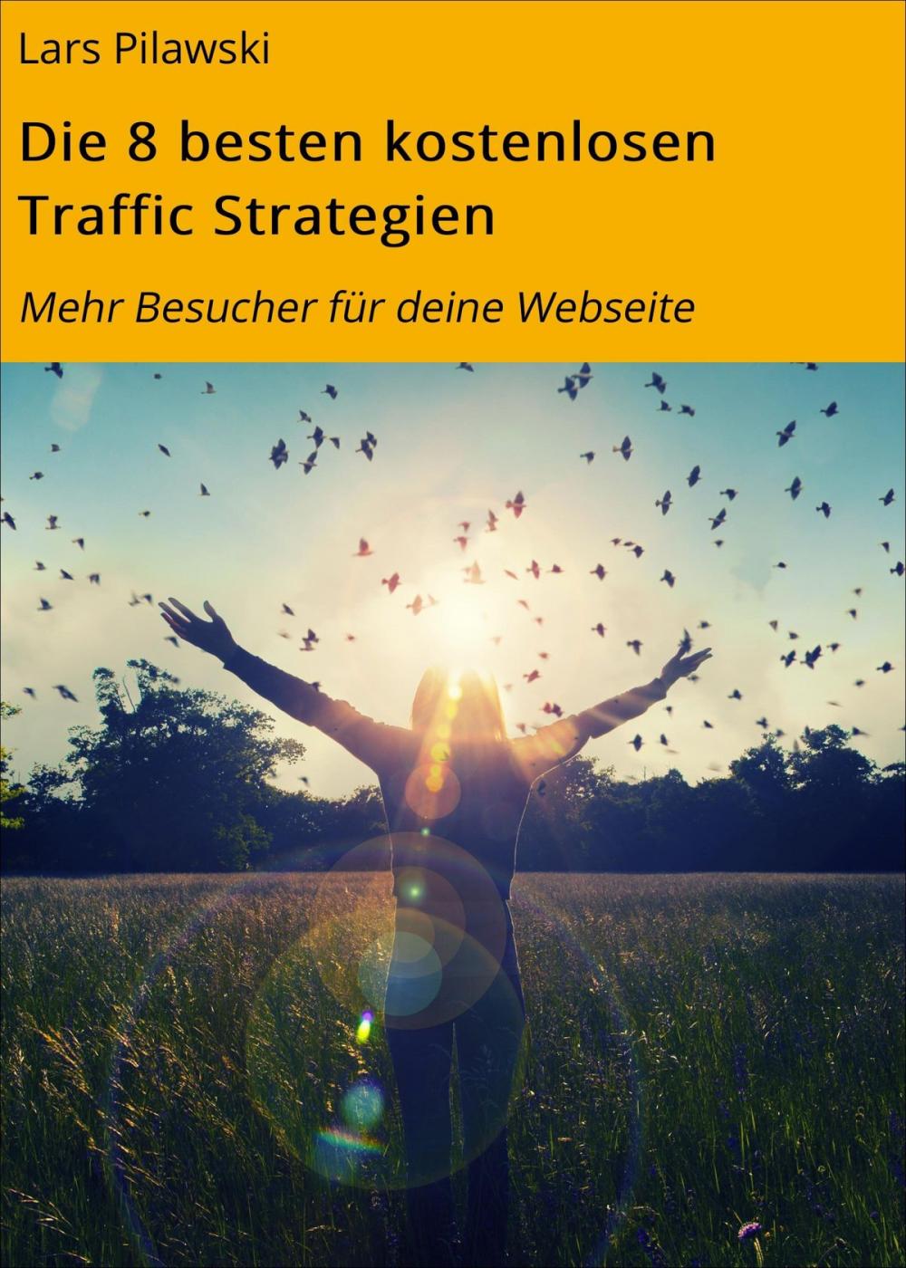 Big bigCover of Die 8 besten kostenlosen Traffic Strategien