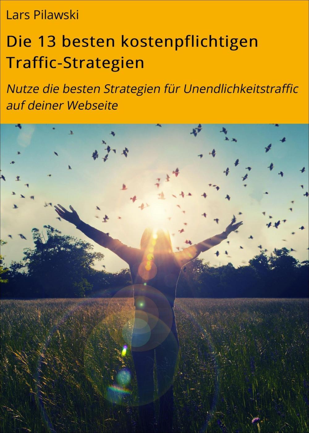 Big bigCover of Die 13 besten kostenpflichtigen Traffic-Strategien