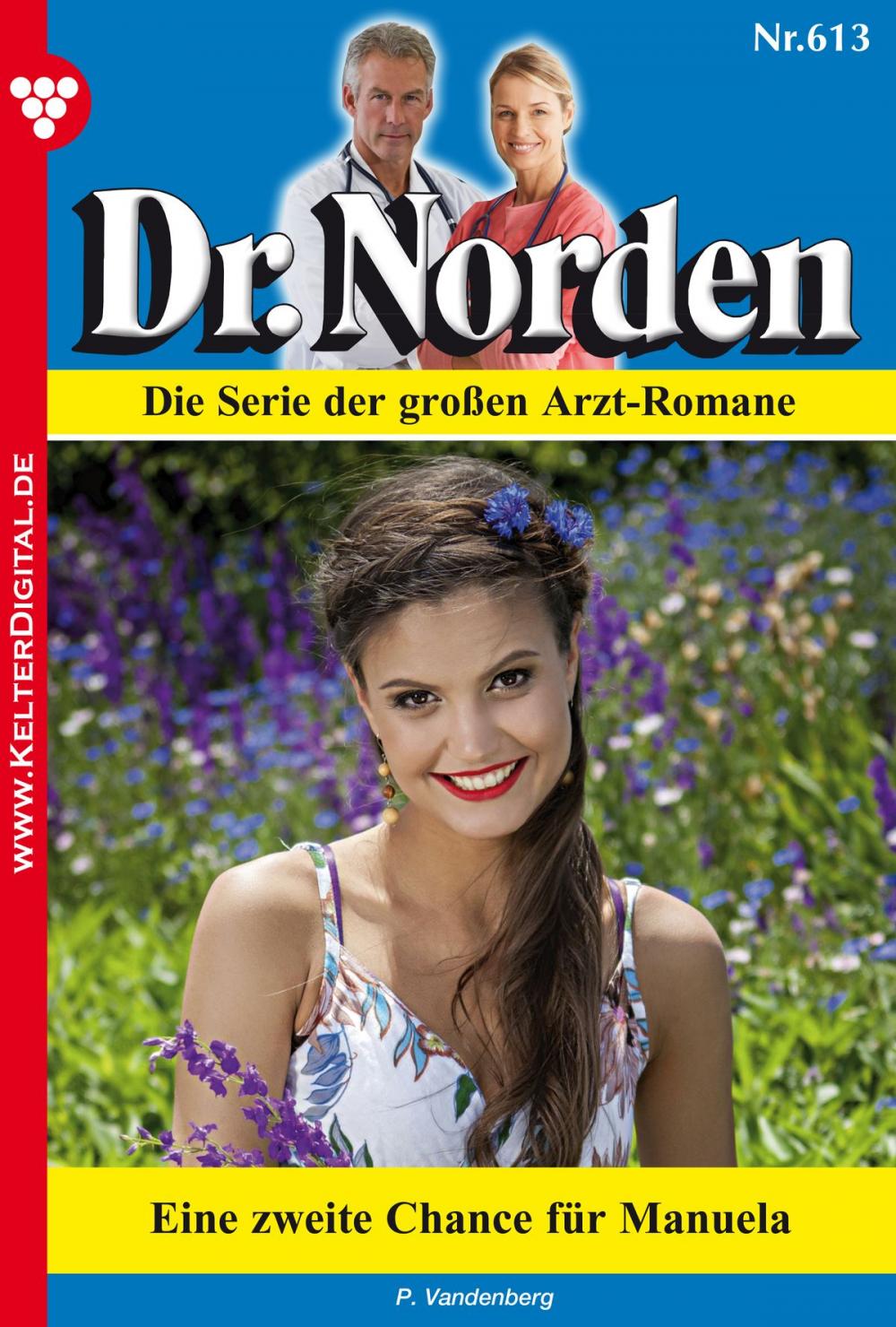 Big bigCover of Dr. Norden 613 – Arztroman