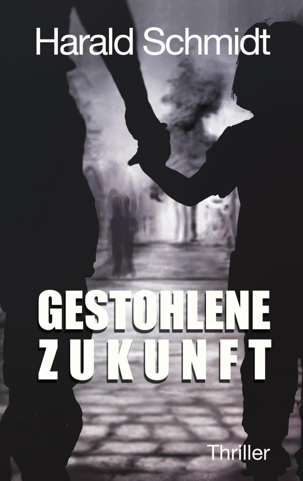 Big bigCover of Gestohlene Zukunft