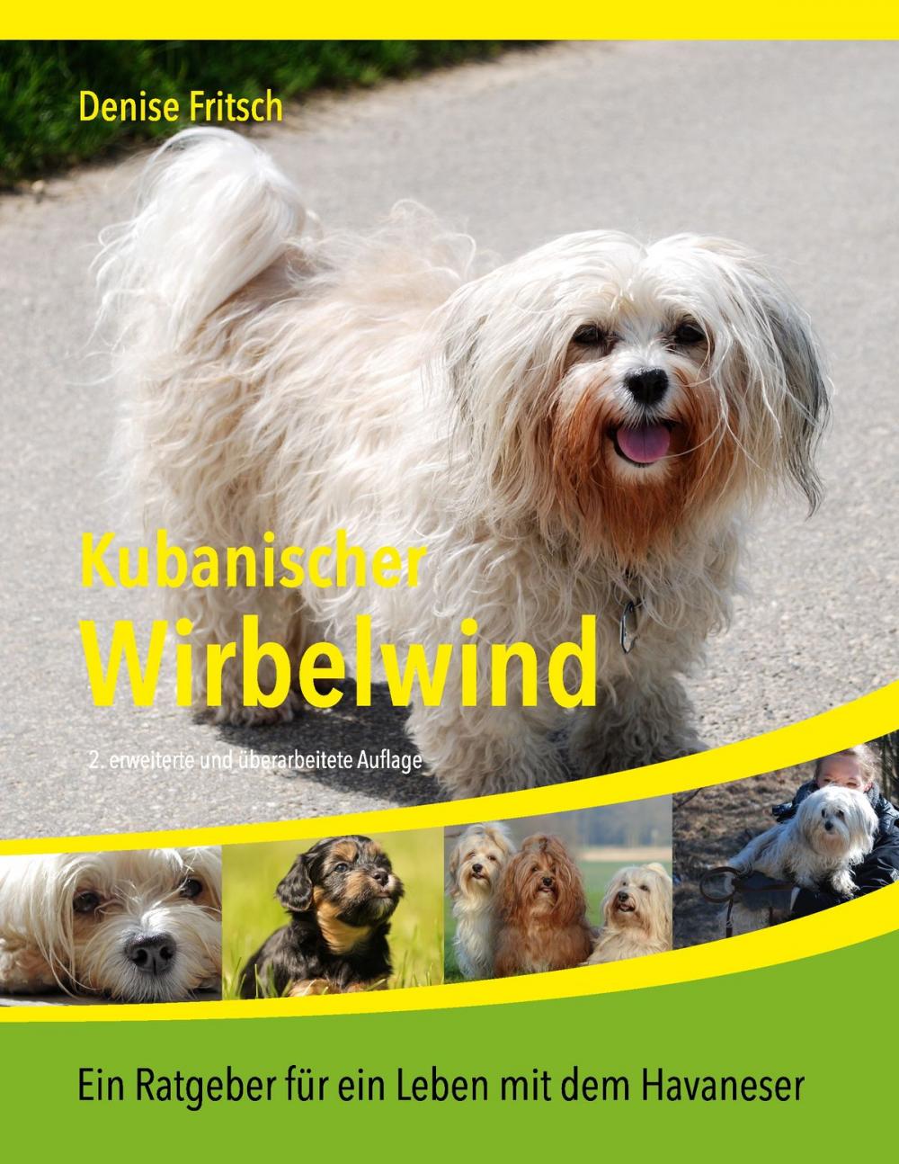 Big bigCover of Kubanischer Wirbelwind