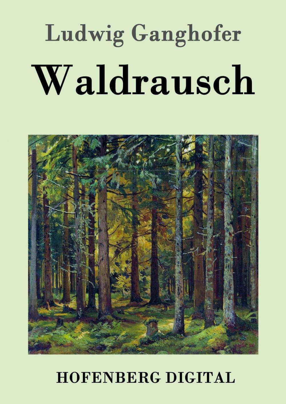 Big bigCover of Waldrausch