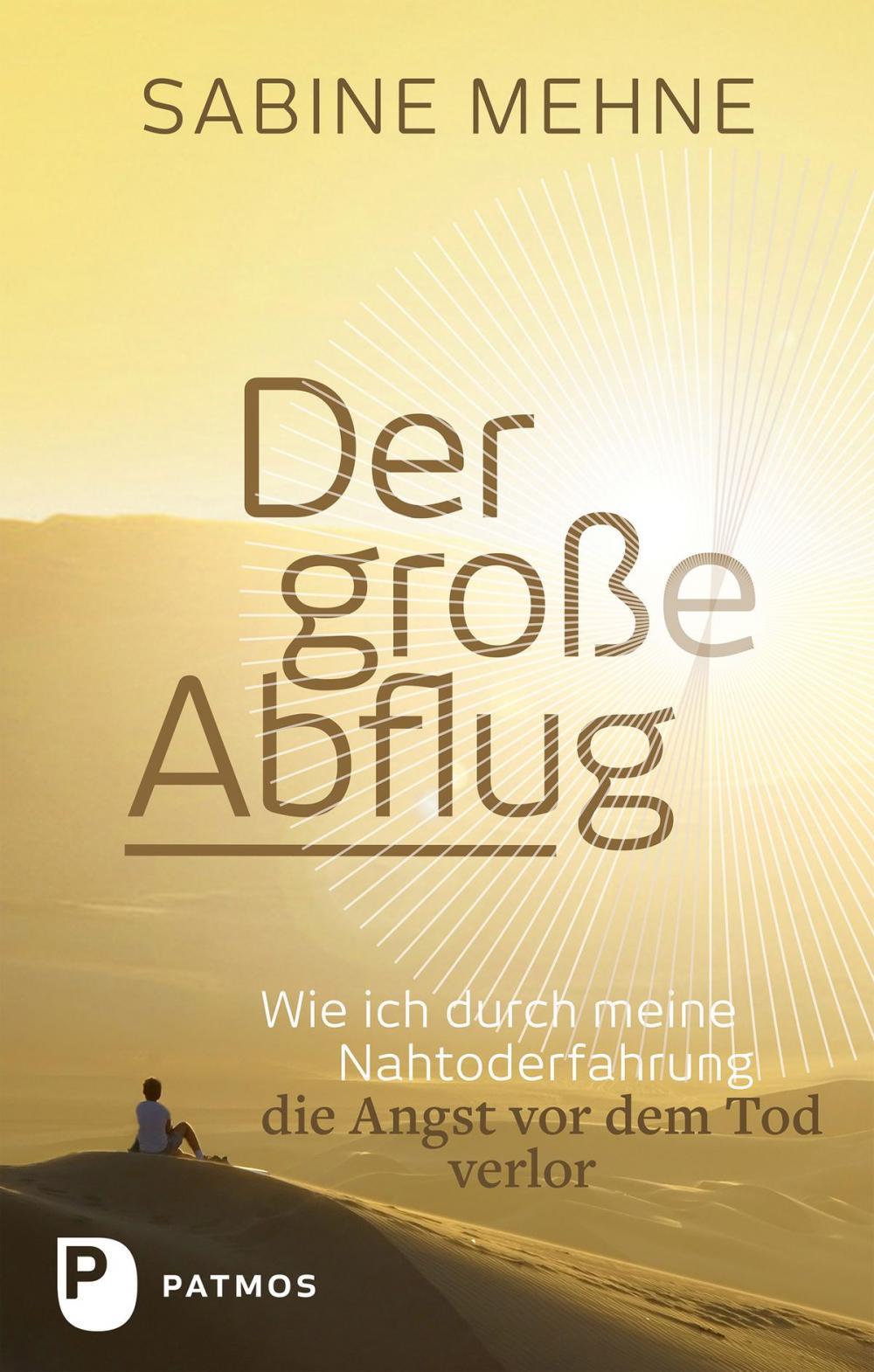 Big bigCover of Der große Abflug